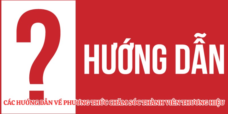 Hướng Dẫn ZBET: Chuyên Mục Hỗ Trợ Thành Viên Mới Hiệu Quả 3 Các hướng dẫn về phương thức chăm sóc thành viên thương hiệu