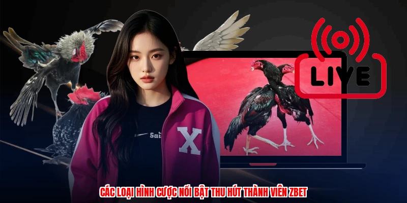 Đá Gà Tre - Các Hình Thức Cược Gà Phổ Biến Nhất Hiện Nay 3 Các loại hình cược nổi bật thu hút thành viên thương hiệu