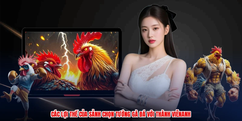 Chọn Tướng Gà Đá: Hình Thức Cược Gà Hiệu Quả Tại ZBET 2 Các lợi thế của sảnh chọn tướng gà đá với thành viênanh