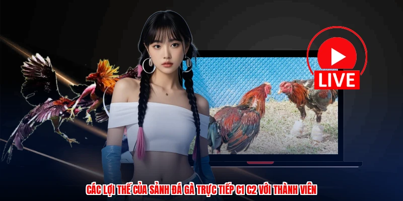 Đá Gà Trực Tiếp C1 C2 Tại ZBET: Thông Tin Cần Biết 2 Các lợi thế của sảnh đá gà trực tiếp C1 C2 với thành viên