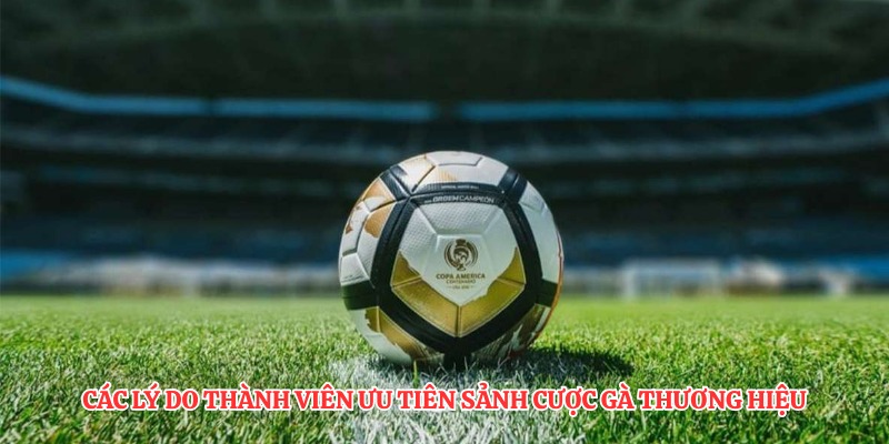 Các lý do thành viên ưu tiên sảnh cược gà thương hiệu