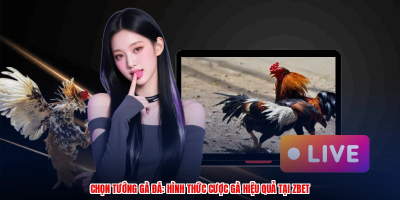 Chọn Tướng Gà Đá: Hình Thức Cược Gà Hiệu Quả Tại ZBET 1 Chọn Tướng Gà Đá: Hình Thức Cược Gà Hiệu Quả Tại ZBET