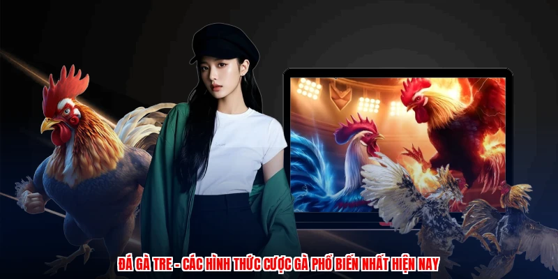 Đá Gà Tre - Các Hình Thức Cược Gà Phổ Biến Nhất Hiện Nay 15 Đá Gà Tre - Các Hình Thức Cược Gà Phổ Biến Nhất Hiện Nay