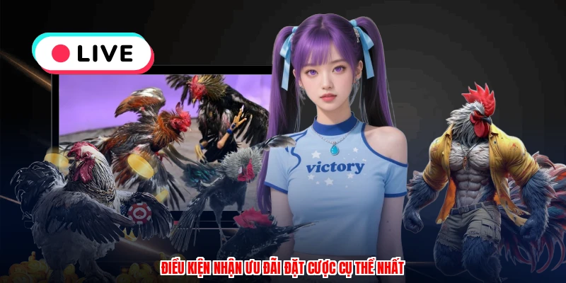 Đá Gà C1: Ưu Đãi Cược Hấp Dẫn Và Cách Rút Thưởng Thương Hiệu 3 Điều kiện nhận ưu đãi đặt cược cụ thể nhất