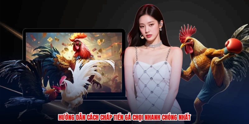 Cách Chấp Tiền Gà Chọi: 3 Bước Tăng Vốn Cược Tại ZBET 2 Hướng dẫn cách chấp tiền gà chọi nhanh chóng nhất