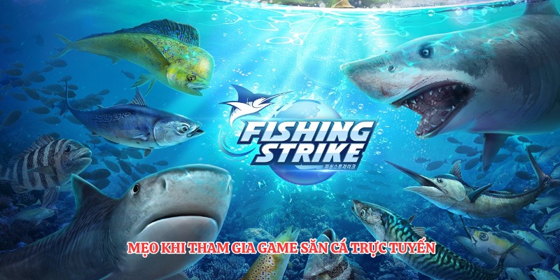 Câu Cá Phát Tài - Khám Phá Đại Dương Đổi Thưởng 2026 4 Mẹo khi tham gia game săn cá trực tuyến
