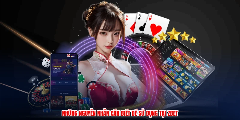 Hướng Dẫn ZBET: Chuyên Mục Hỗ Trợ Thành Viên Mới Hiệu Quả 2 Những nguyên nhân cần biết để sử dụng tại thương hiệu