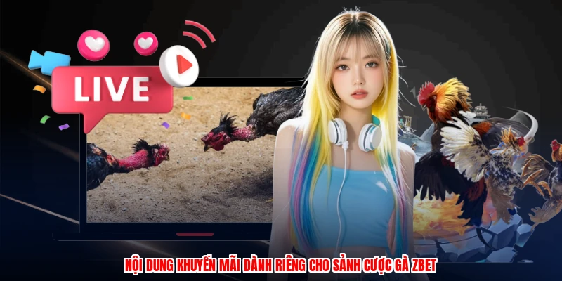 Đá Gà Trực Tiếp C1 C2 Tại ZBET: Thông Tin Cần Biết 4 Nội dung khuyến mãi dành riêng cho sảnh cược gà ZBET