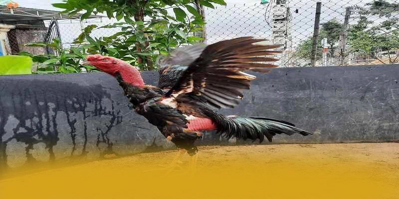 Hệ thống hỗ trợ người chơi tại BET168 Hệ thống hỗ trợ người chơi tại BET168