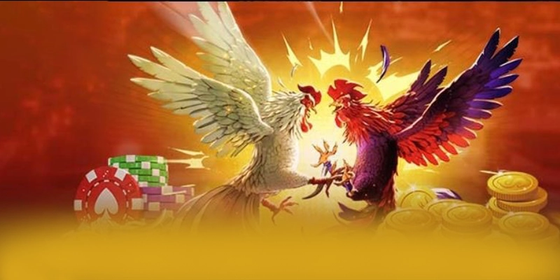 Nhận xét từ cộng đồng người chơi về 8XBET